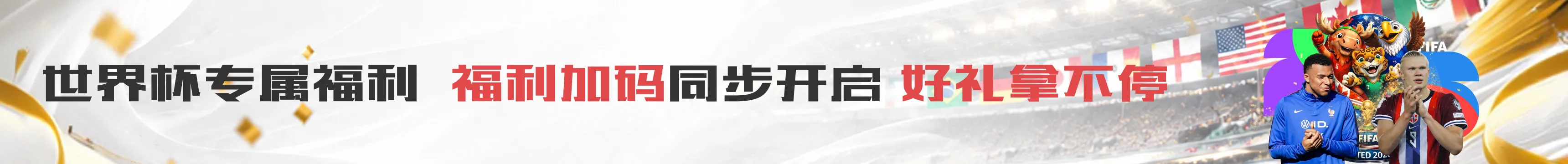 3377体育网相关图片
