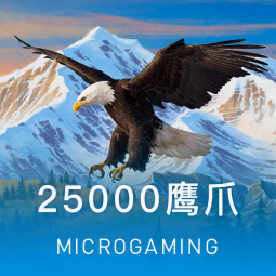 星空app官方正版下载地址：2026年8月最新版本安装指南